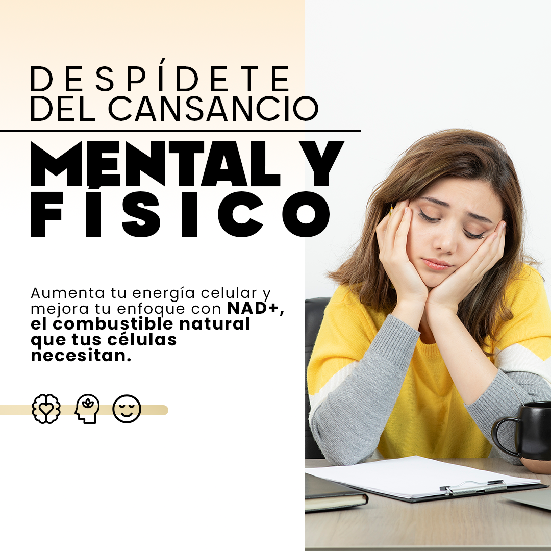 Encabezado