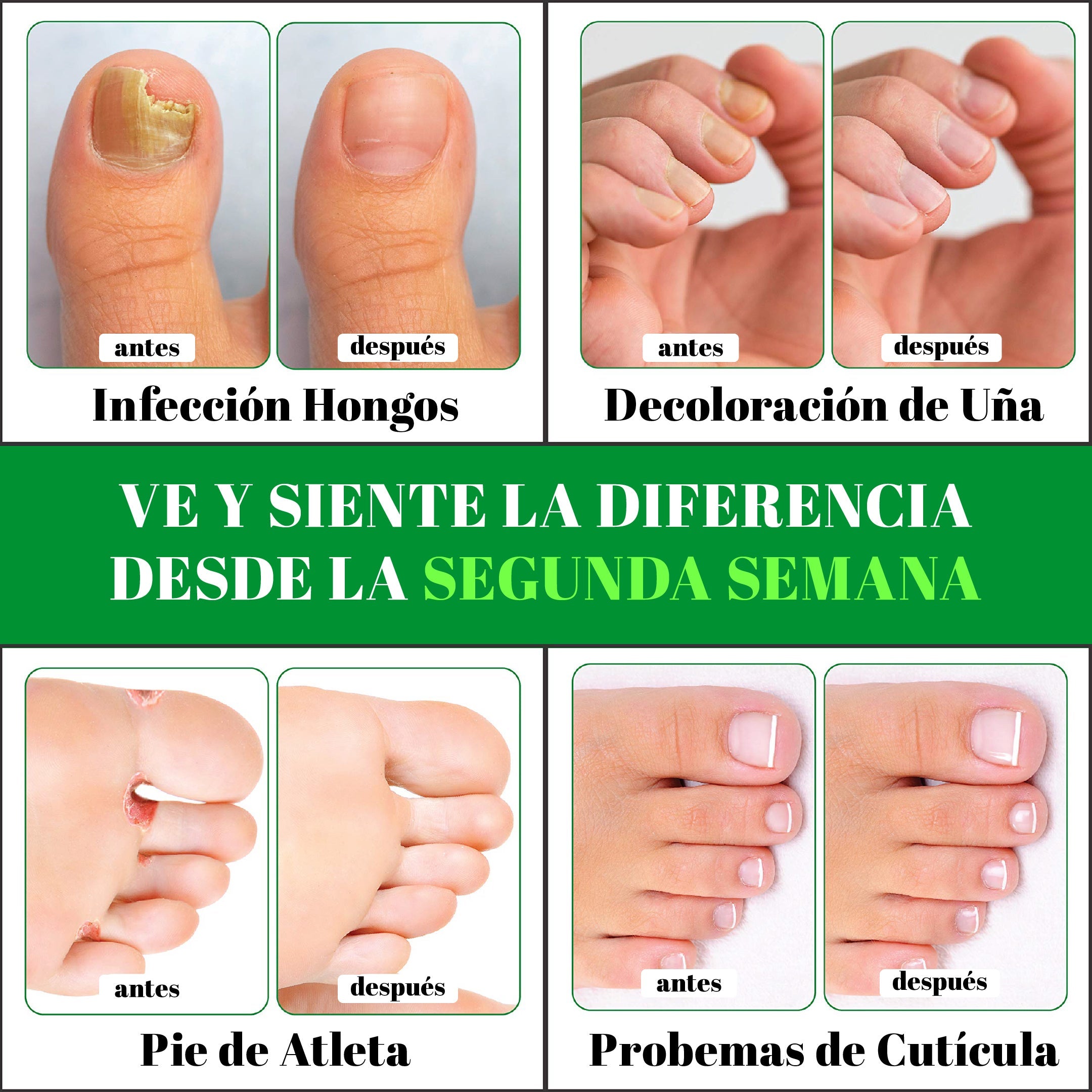 Encabezado