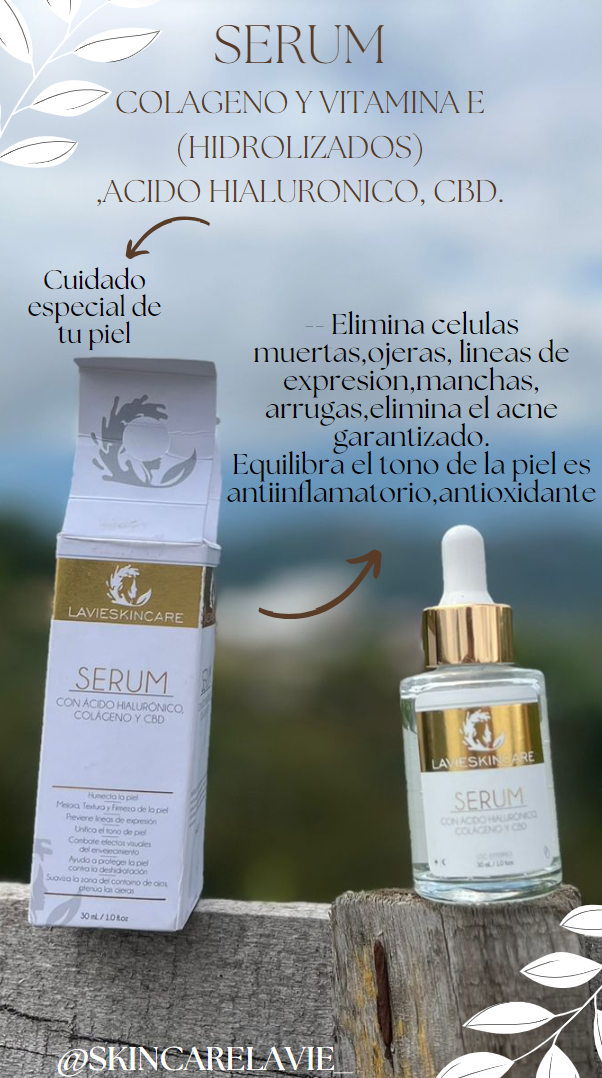 Encabezado