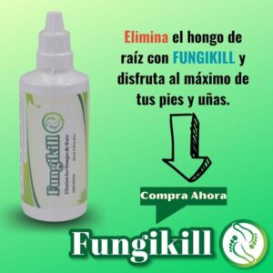 Encabezado