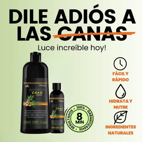 Encabezado