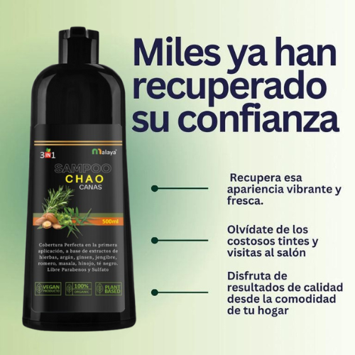 Shampoo ¡CHAO CANAS EN UNA LAVADA! ✨ Recupera tu color natural sin tintes ni químicos