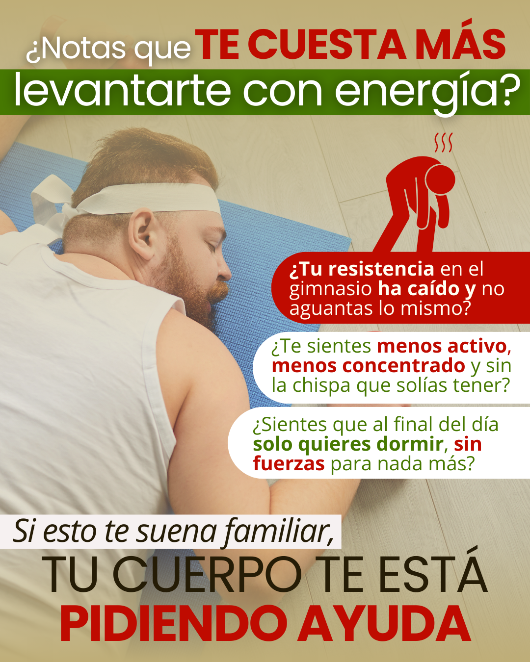 Encabezado