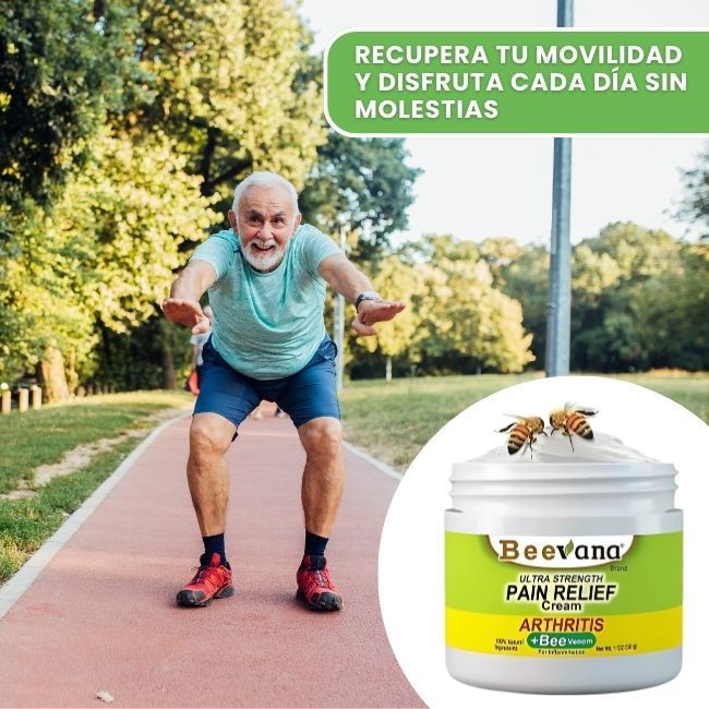 Encabezado