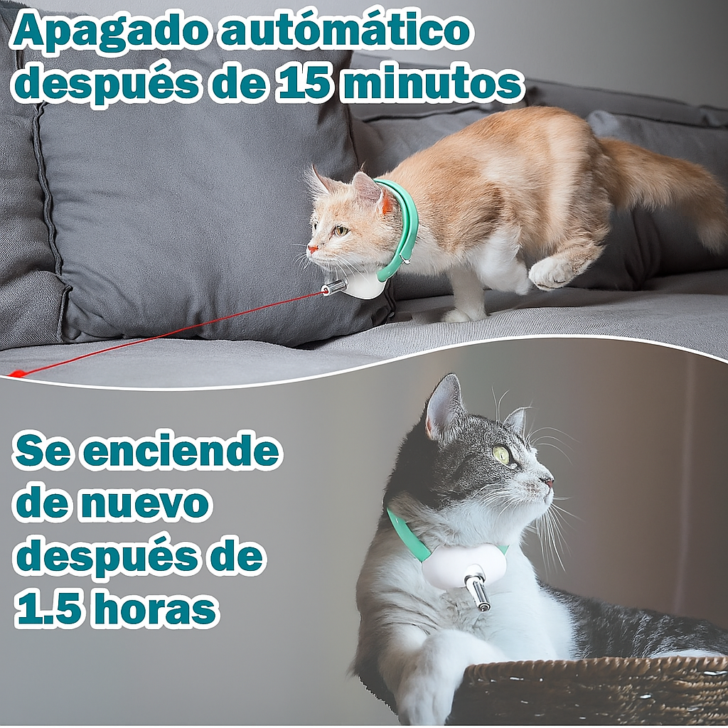 Encabezado