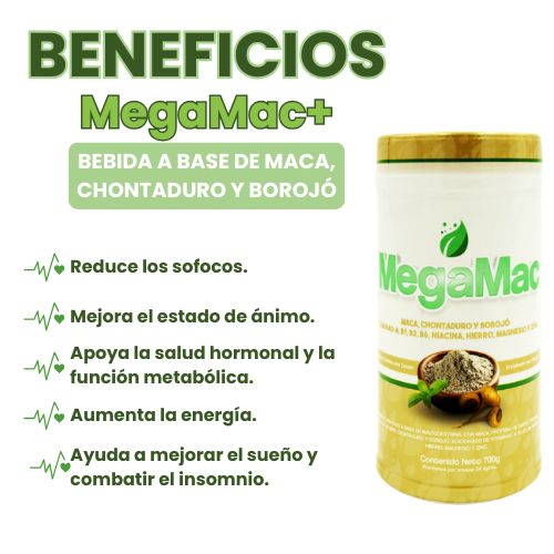 Encabezado