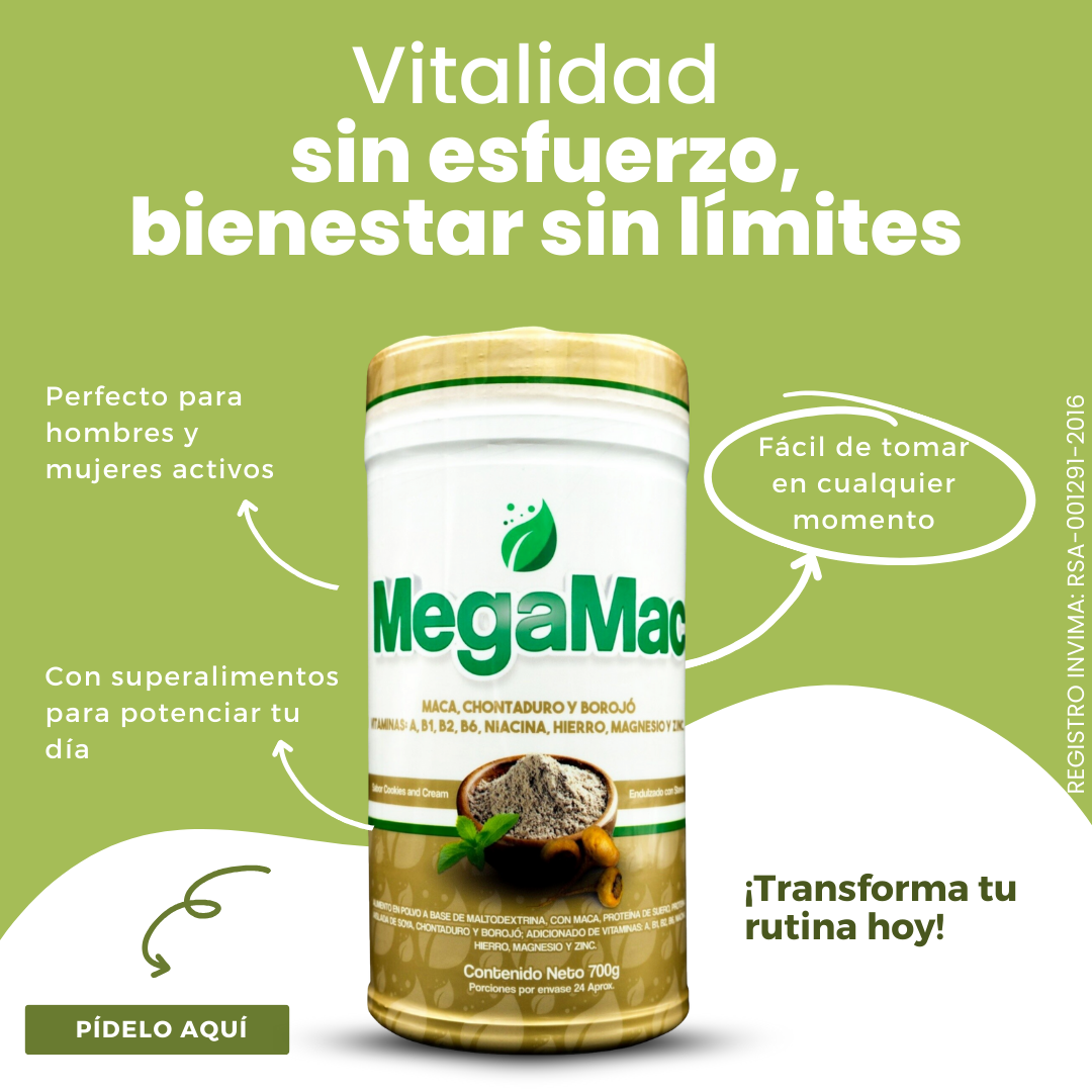 Encabezado